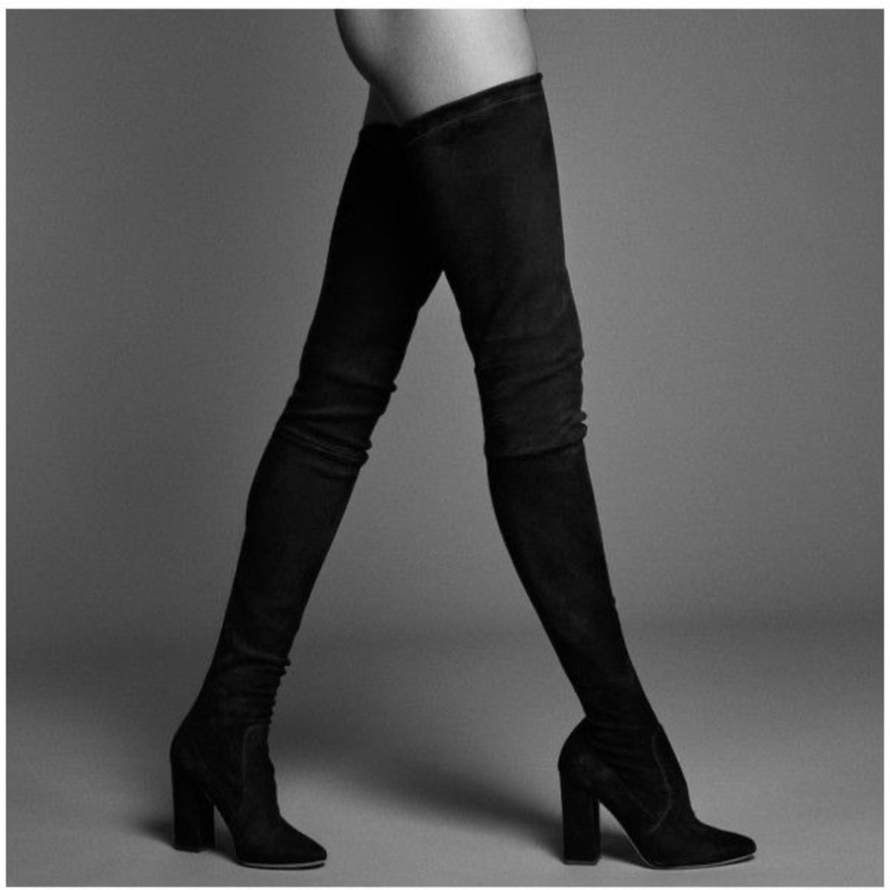 Tamara Mellon Helmut Thigh High Suede Boots.